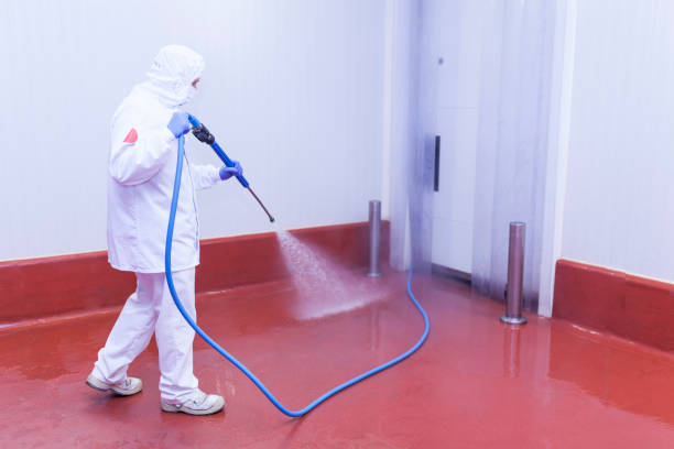 Carthage, MS Pressure Washing Company